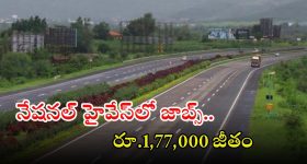 NHAI Recruitment: నేషనల్ హైవేస్‌ నుంచి నోటిఫికేషన్ విడుదల.. ఈ జాబ్ వస్తే రూ.1,77,000 జీతం