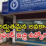 NIACL Recruitment: ఇది సువర్ణవకాశం, డిగ్రీ అర్హతతో భారీగా ఉద్యోగాలు.. స్టైఫండ్ ఇచ్చి జాబ్..