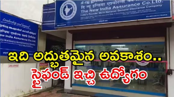 NIACL Recruitment: ఇది సువర్ణవకాశం, డిగ్రీ అర్హతతో భారీగా ఉద్యోగాలు.. స్టైఫండ్ ఇచ్చి జాబ్..