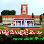 NLC Jobs: డిగ్రీ అర్హతతో ఉద్యోగాలు.. ఒక్కే ఎగ్జామ్‌తో డైరెక్ట్ జాబ్.. రూ.లక్షల్లో జీతాలు..