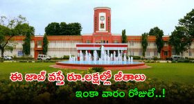 NLC Jobs: డిగ్రీ అర్హతతో ఉద్యోగాలు.. ఒక్కే ఎగ్జామ్‌తో డైరెక్ట్ జాబ్.. రూ.లక్షల్లో జీతాలు..