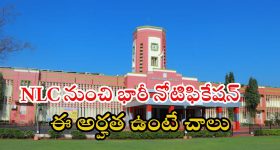 NLC Recruitment: ఎన్ఎల్‌ఎసీ నుంచి భారీ నోటిఫికేషన్.. ఈ జాబ్ వస్తే రూ.లక్షకు పైగా జీతం