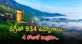 Planning Department: ప్లానింగ్ డిపార్ట్‌మెంట్‌లో ఖాళీలు.. నెలకు రూ.60,000 జీతం.. ఇదే మంచి అవకాశం..