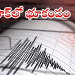 Pakistan Earthquake: పాకిస్థాన్‌లో భూకంపం.. రిక్టర్ స్కేలుపై 4.6 తీవ్రత