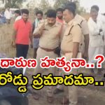Palnadu News: రోడ్డు ప్రమాదంలో ఇద్దరు టీడీపీ నేతలు మృతి