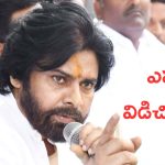 Pawan Kalyan : జనసేన వాళ్లున్నా విడిచి పెట్టాం… తిక్క లేచింది, అందరి లెక్కలు తేల్చే పనిలో పడ్డాడు