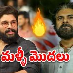 Allu Arjun T-shirt : నెల్లూరు పెద్దారెడ్డి తాలుకా Vs పిఠాపురం ఎమ్మెల్యే తాలుకా.. రచ్చ మొదలు!