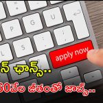 Planning Department: ప్లానింగ్ డిపార్ట్‌మెంట్‌లో ఖాళీలు.. నెలకు రూ.60,000 జీతం.. ఇదే మంచి అవకాశం..