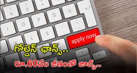 Planning Department: ప్లానింగ్ డిపార్ట్‌మెంట్‌లో ఖాళీలు.. నెలకు రూ.60,000 జీతం.. ఇదే మంచి అవకాశం..