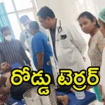 Road Accident: కాళేశ్వరం వెళ్తుండగా రోడ్డు ప్రమాదం.. ఇద్దరు స్పాట్‌లోనే మృతి.. మరో ఏడుగురు?