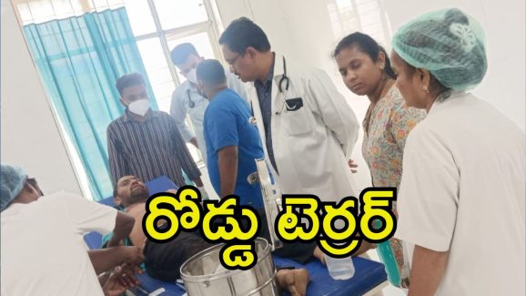 Road Accident: కాళేశ్వరం వెళ్తుండగా రోడ్డు ప్రమాదం.. ఇద్దరు స్పాట్‌లోనే మృతి.. మరో ఏడుగురు?