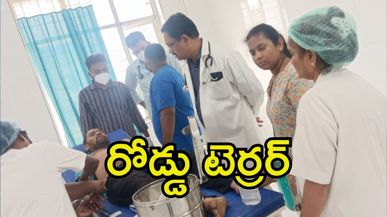 Road Accident: కాళేశ్వరం వెళ్తుండగా రోడ్డు ప్రమాదం.. ఇద్దరు స్పాట్‌లోనే మృతి.. మరో ఏడుగురు?