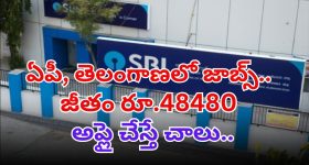 SBI Jobs: SBIలో భారీగా జాబ్స్.. రెండు తెలుగు రాష్ట్రాల్లో కూడా ఖాళీలు.. డోంట్ మిస్