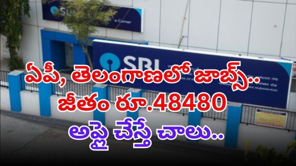 SBI Jobs: SBIలో భారీగా జాబ్స్.. రెండు తెలుగు రాష్ట్రాల్లో కూడా ఖాళీలు.. డోంట్ మిస్