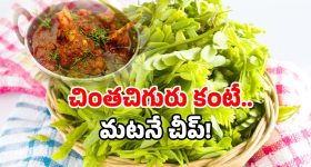 KCR - HarishRao : ఎట్ల చేద్దాం అల్లుడా? నువ్వే చెప్పు మామా..! ఫాంహౌజ్‌లో కలవరం!