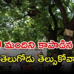 Tamarind Tree: 150 మంది ప్రాణాలను కాపాడిన చింతచెట్టు.. ఇప్పటికీ సజీవంగా ఉంది.. ఎక్కడో తెల్సా