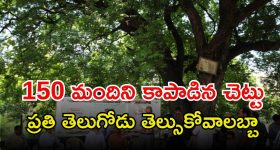 IRCTC eWallet: రైలు టికెట్స్ త్వరగా బుక్ చేసుకోవాలా? IRCTC eWalletను ఇలా వాడేయండి!