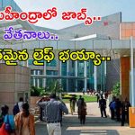 Tech Mahindra Jobs:  టెక్ మహీంద్రాలో ఉద్యోగాలు.. అర్హతలు ఏంటి..? ఎలాంటి బెనిఫిట్స్ ఉంటాయి?