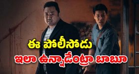 Spirit: స్పిరిట్ లో త్రిప్తి.. ఈమెకు సందీప్ రెడ్డి ఇచ్చే రెమ్యూనరేషన్ ఎంతో తెలుసా..?