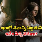 OTT Movie : రాజకుమారుడిని పెళ్లి చేసుకోవడం కోసం పార్ట్స్ అన్నీ కట్… ఇదెక్కడి సైకోరా బాబూ