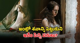 Sajjala Ramakrishna Reddy: చంద్రబాబుని రెండోసారి జైలుకు పంపేవాళ్లం.. కానీ వదిలేశాం