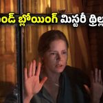 OTT Movie : పక్కింట్లో మర్డర్, ఫ్యూజులు అవుట్ అయ్యే క్లైమాక్స్ ట్విస్ట్… మెంటల్ గా వీక్ గా ఉన్నవాళ్ళు చూడకూడని మూవీ