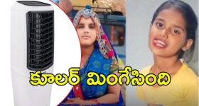 CM Revanth Reddy: రేవంతా మజాకా.. ప్రతి జిల్లాలో ప్రీ ప్రైమరీ స్కూల్