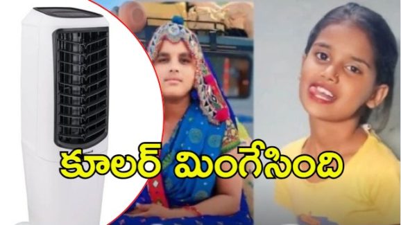Tragedy in Kamareddy: కూలర్‌కు తల్లీకూతుళ్లు బలి, అసలేం జరిగింది?