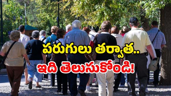 Travel Scheme: సీనియర్ సిటిజన్లకు అంతా ఫ్రీ.. ఫ్రీ? వైరల్ వెనుక నిజం ఏమిటంటే?