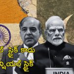 FATF Pakistan: పాకిస్తాన్ నడ్డీ విరిచేందుకు భారత్ ప్లాన్.. ఉగ్రవాదంపై ఆర్థిక దాడి