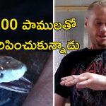 Snake Bite Anitvenom Human Blood: భయంకర పాము విషానికి విరుగుడు మందు.. ఆ మనిషి రక్తమే