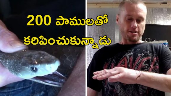 Snake Bite Anitvenom Human Blood: భయంకర పాము విషానికి విరుగుడు మందు.. ఆ మనిషి రక్తమే