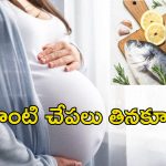 Fish Harmful During Pregnancy: గర్భవతులు చేపలు తింటే ఆ సమస్యలు.. నిపుణుల హెచ్చరిక