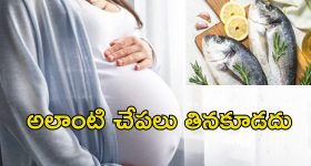 PM Vishwakarma Yojana: పీఎం విశ్వకర్మ యోజన.. చేతి వృత్తులకు 3 లక్షల లోన్, రోజుకు రూ. 500