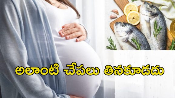 Fish Harmful During Pregnancy: గర్భవతులు చేపలు తింటే ఆ సమస్యలు.. నిపుణుల హెచ్చరిక