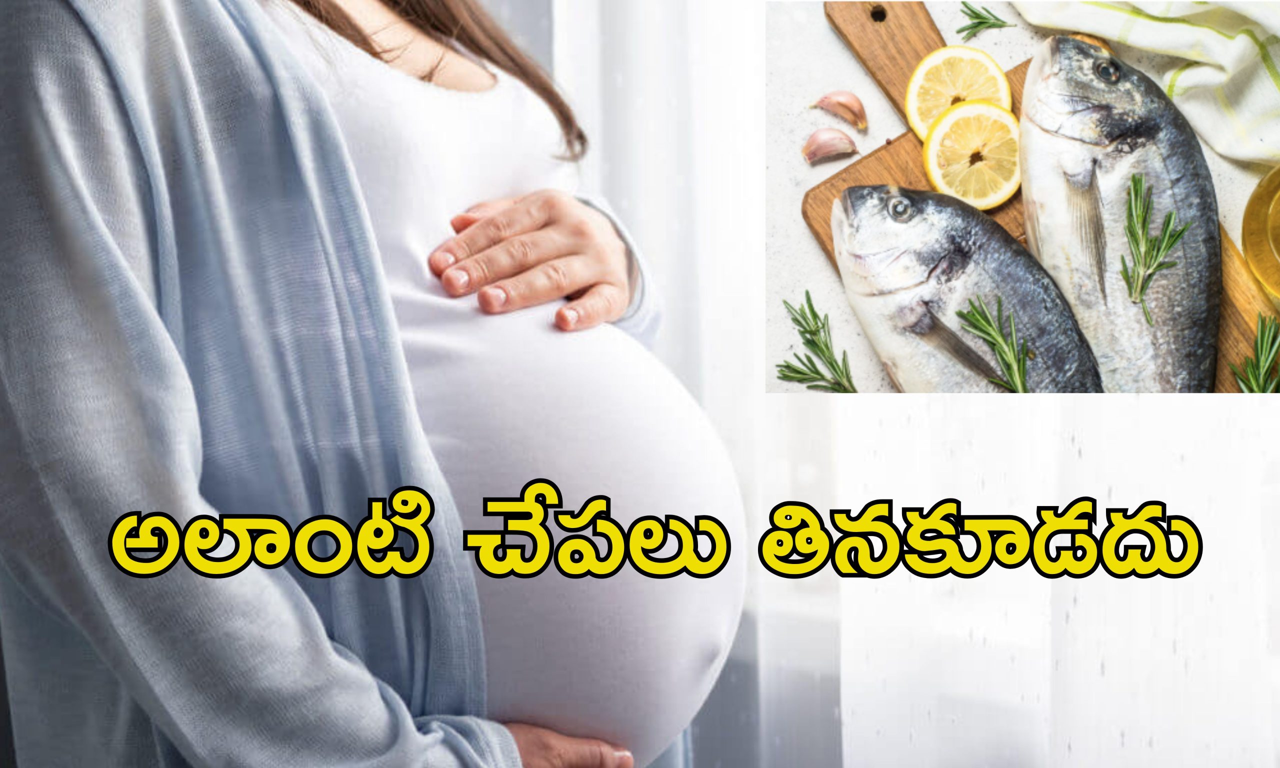 Fish Harmful During Pregnancy: గర్భవతులు చేపలు తింటే ఆ సమస్యలు.. నిపుణుల హెచ్చరిక