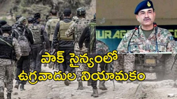 Pakistan Army Terrorists: ఉగ్రవాదులకు రక్షణగా పాక్ సైన్యం.. భారత్ నుంచి కాపాడడానికే