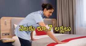 HouseManager Job: ఇంటి పని చేసే ఉద్యోగం.. జీతం రూ.83 లక్షలు.. ఎగబడుతున్న జనం