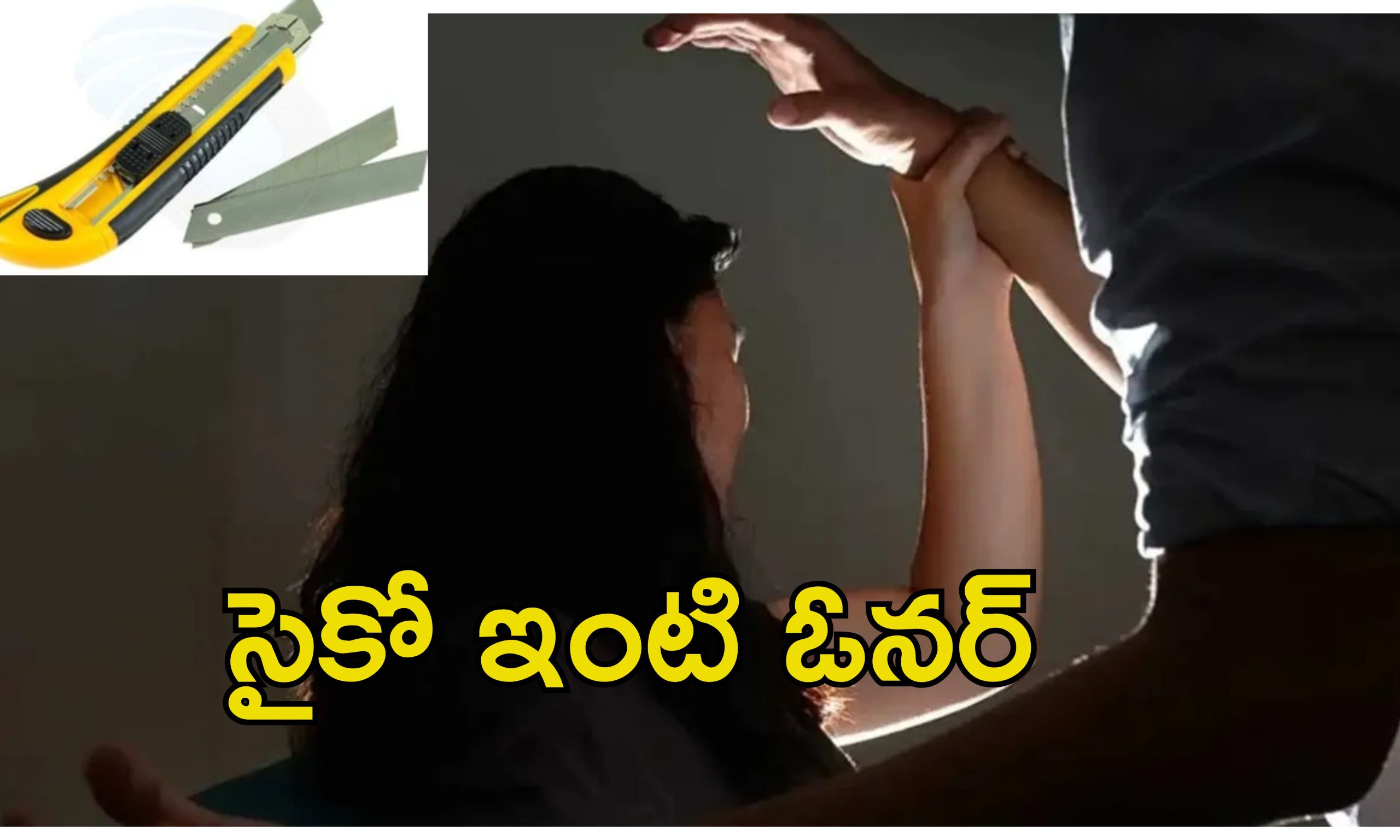 House Owner Attacks Tenant: యువతిపై కత్తితో దాడి చేసిన ఇంటి ఓనర్.. కోరికలు తీర్చాలని బ్లాక్ మెయిల్