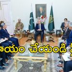 Pakistan PM Seeks Help: పాకిస్తాన్‌కు అండగా ఆ దేశాలు.. యుద్దం ఆపేందుకు పాక్ ప్రధాని అష్టకష్టాలు..
