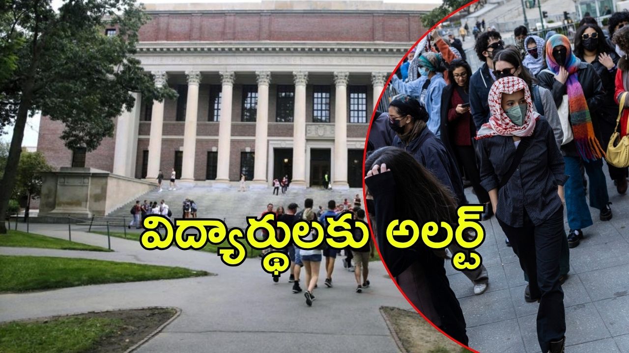 America: అమెరికా హెచ్చరికలు.. అలా చేస్తే వీసా క్యాన్సిల్, భయంలో స్టూడెంట్స్