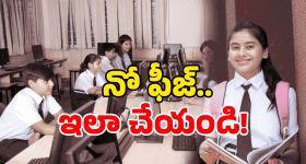 Catherine Tresa: అందాలతో హీట్ పెంచిన కేథరిన్.. ఫోటోలు వైరల్..!