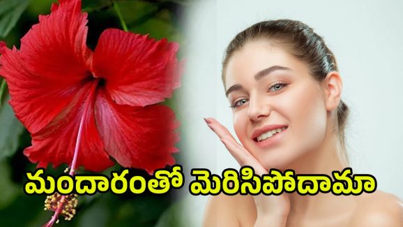Hibiscus for Glowing Skin: అమ్మాయిలకు మెరిసే అందం కోసం మందార పువ్వు