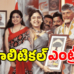 Poonam Kaur: రాజకీయాల్లోకి పూనమ్ కౌర్? వరుస భేటీలు అందుకేనా?