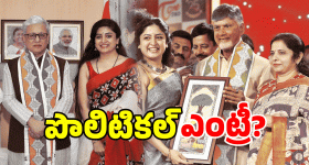 Poonam Kaur: రాజకీయాల్లోకి పూనమ్ కౌర్? వరుస భేటీలు అందుకేనా?