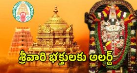Heatstroke Herbal Remedies: వేసవిలో వడదెబ్బ సమస్య.. నివారణకు ప్రకృతిపరమైన చిట్కాలు ఇవిగో