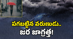 Tirumala News: తిరుమల మహాద్వారం.. ఒకరిపై ఒకరు పిడిగుద్దులు, ఏం జరిగింది?