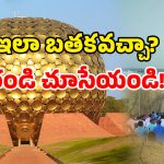 Cashless Village: డబ్బే అవసరం లేని గ్రామం మన దేశంలో.. ఈ ఊరే వేరే లెవెల్!