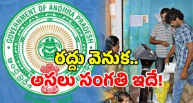 AP Govt on Ration: ఇప్పటికే మీకు రేషన్ కార్డు ఉందా? ఇవి తెలుసుకోండి.. లేకుంటే?