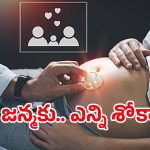 Gender Determination: కడుపులోనే చిదిమేస్తున్నారు.. ఆగని లింగనిర్దారణ పరీక్షలు